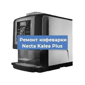 Чистка кофемашины Necta Kalea Plus от кофейных масел в Москве